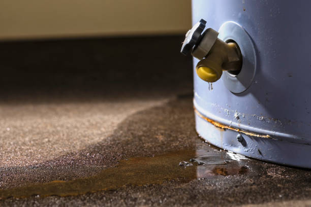 Best Ceiling water damage repair  in Altoona, WI