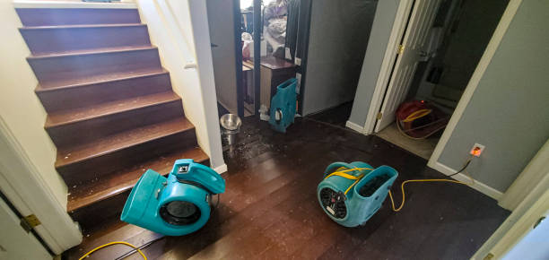 Trusted Altoona, WI Water damage restoration Experts