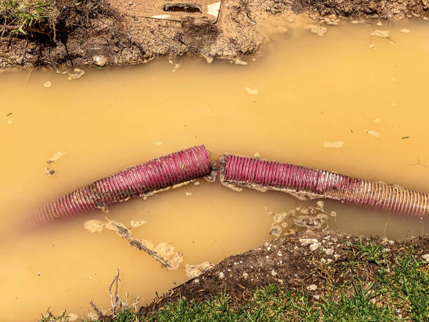 Best Sewage cleanup and water damage restoration  in Altoona, WI