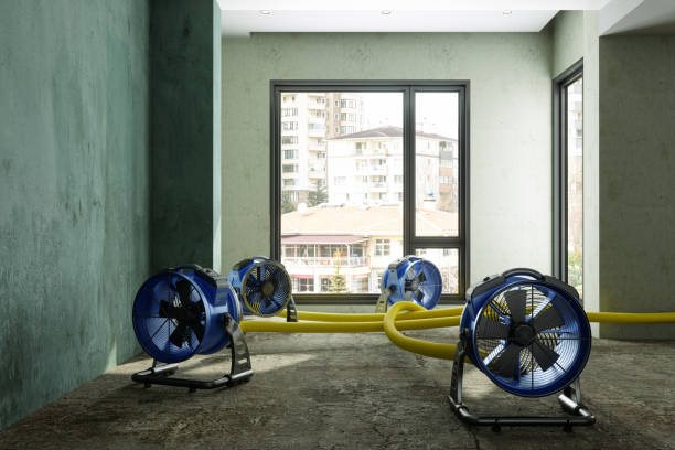 Best Water damage restoration mold remediation  in Altoona, WI
